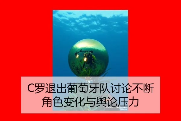 luo-tui-chu-pu-tao-ya-dui-tao-lun-bu-duan-jue-se-bian-hua-yu-yu-lun-ya-li-2-359.jpg